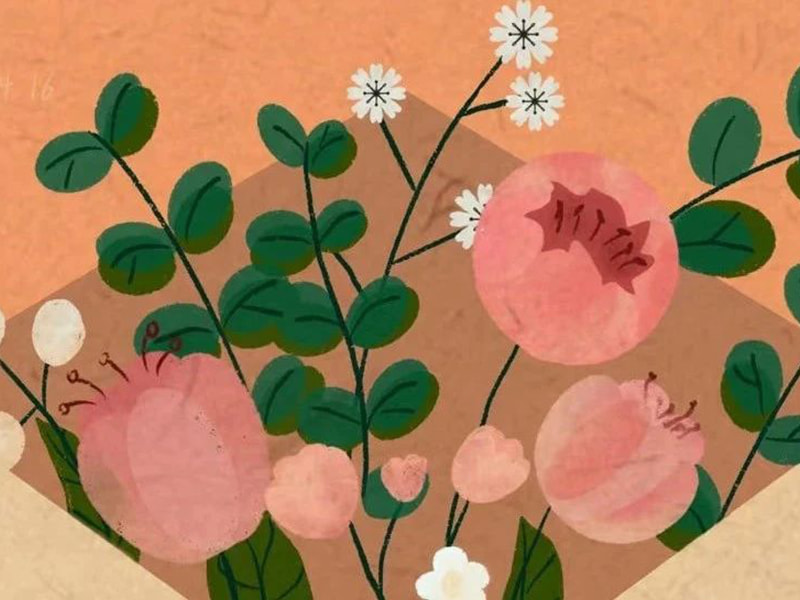 List do rodziny Jufenga